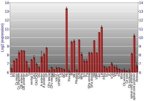 Expression graph