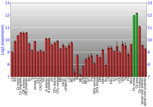 Multi-state expression graph