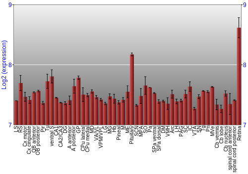 Expression graph