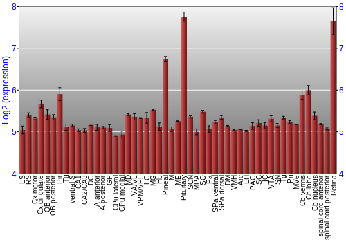 Expression graph