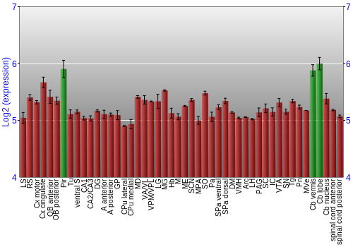 Multi-state expression graph
