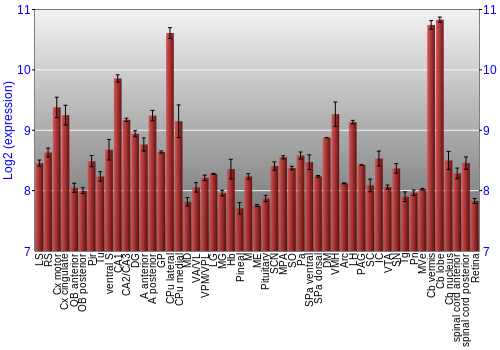 Expression graph