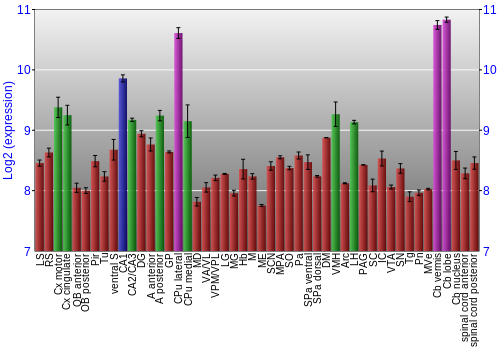 Multi-state expression graph