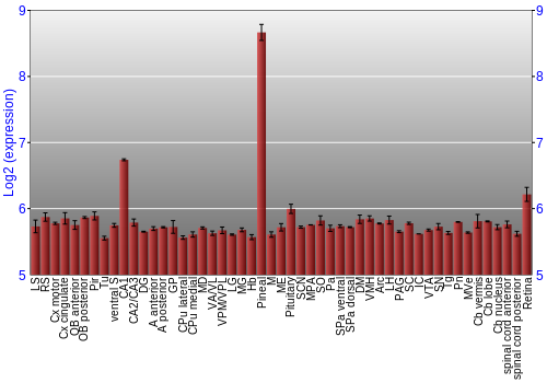 Expression graph