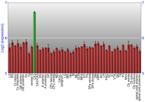 Multi-state expression graph