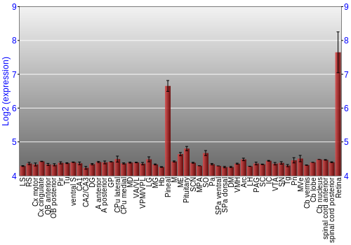 Expression graph