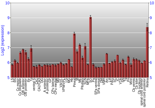 Expression graph