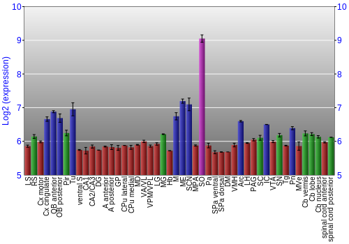 Multi-state expression graph