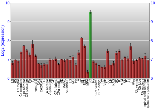 Multi-state expression graph