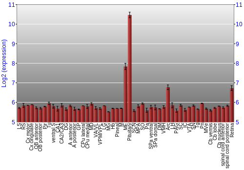Expression graph