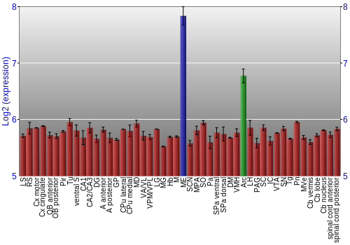 Multi-state expression graph