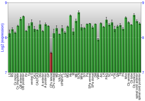 Multi-state expression graph