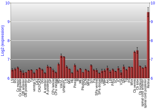 Expression graph