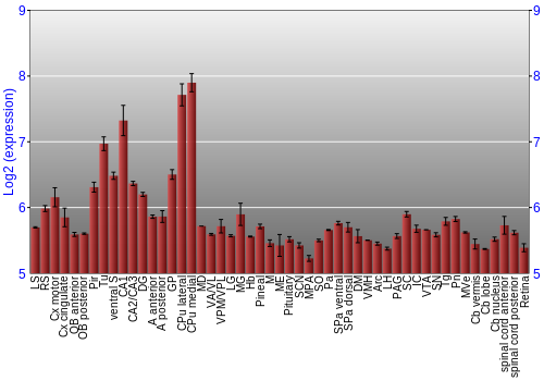 Expression graph
