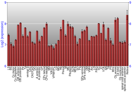 Expression graph