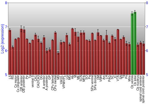 Multi-state expression graph