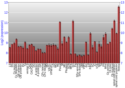 Expression graph