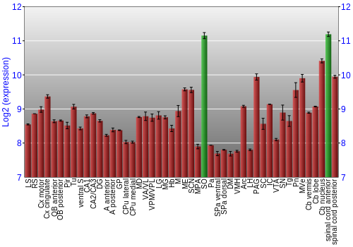 Multi-state expression graph