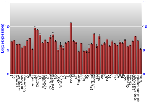 Expression graph