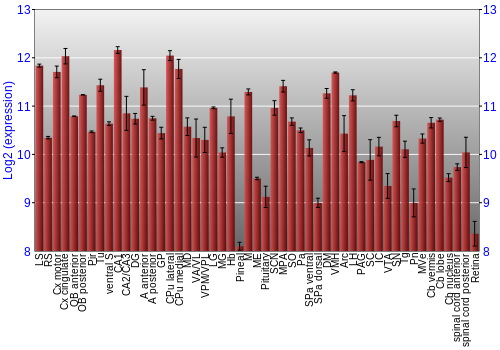 Expression graph