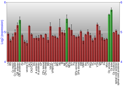 Multi-state expression graph