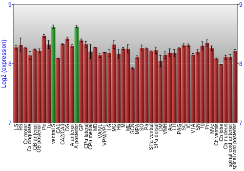 Multi-state expression graph
