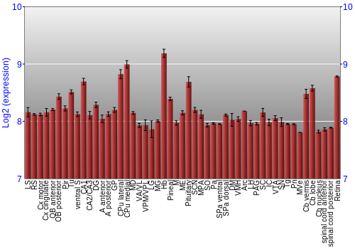 Expression graph