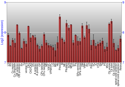 Expression graph