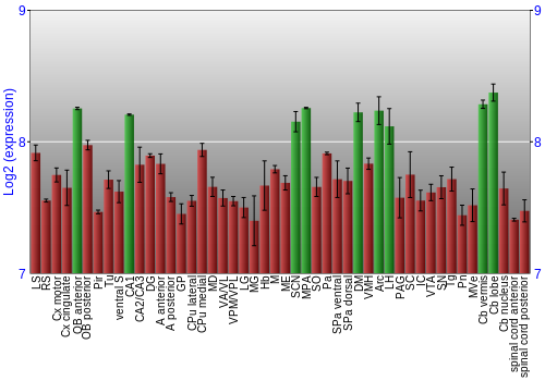 Multi-state expression graph
