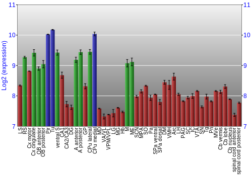 Multi-state expression graph