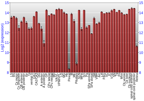 Expression graph
