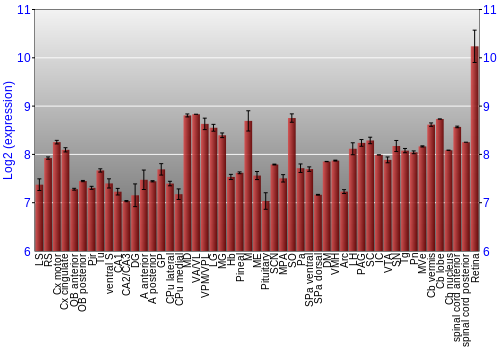 Expression graph