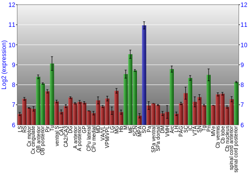 Multi-state expression graph