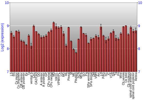 Expression graph