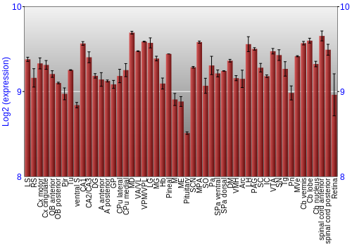 Expression graph