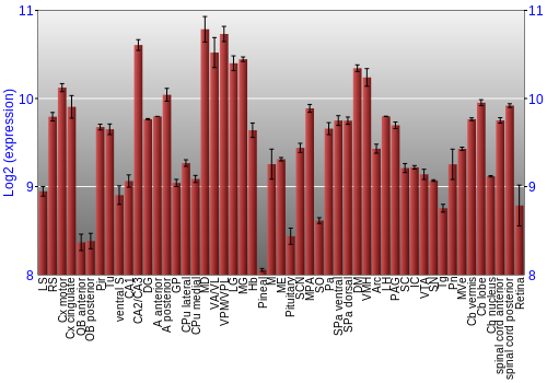 Expression graph