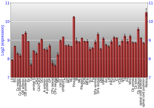 Expression graph