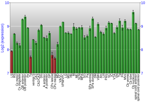 Multi-state expression graph
