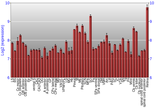 Expression graph