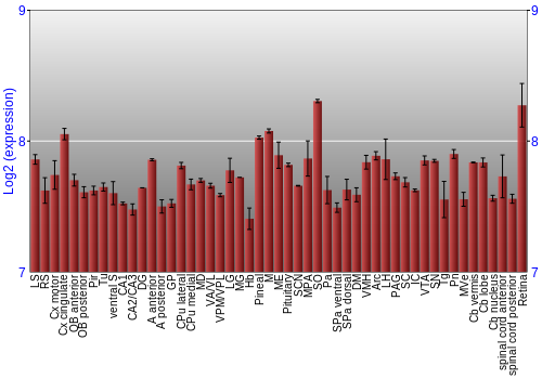 Expression graph