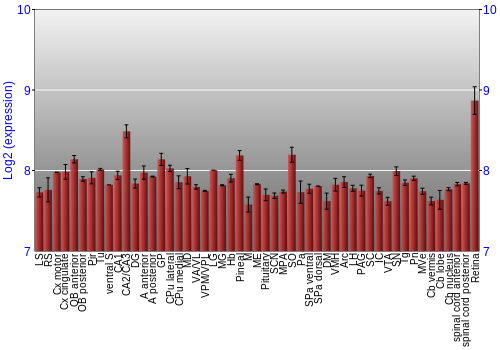 Expression graph