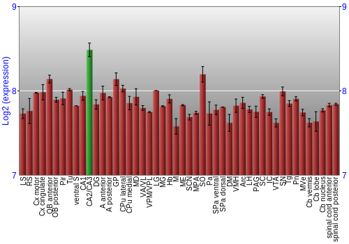 Multi-state expression graph