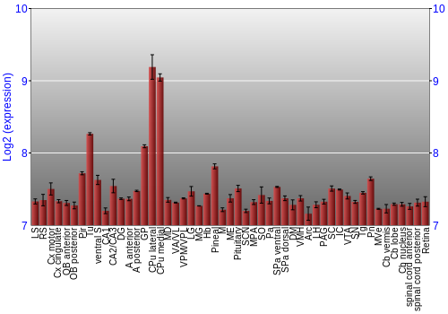 Expression graph