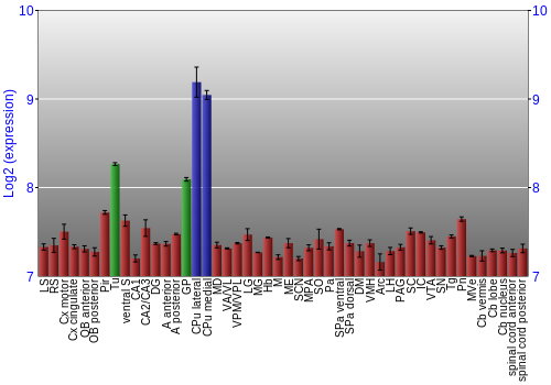 Multi-state expression graph