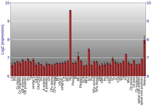 Expression graph