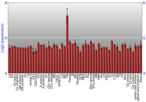 Expression graph