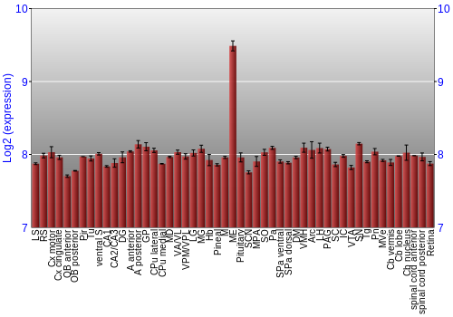 Expression graph