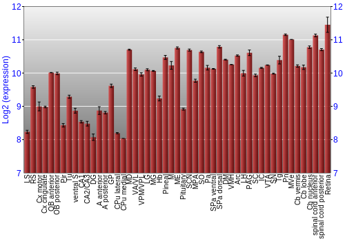 Expression graph