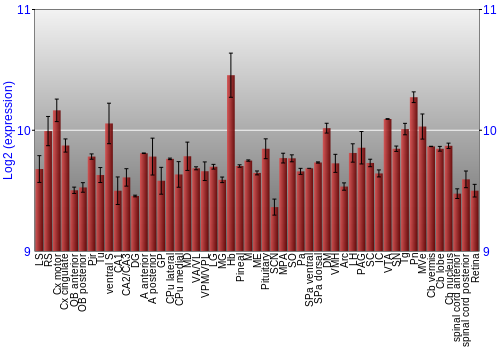 Expression graph