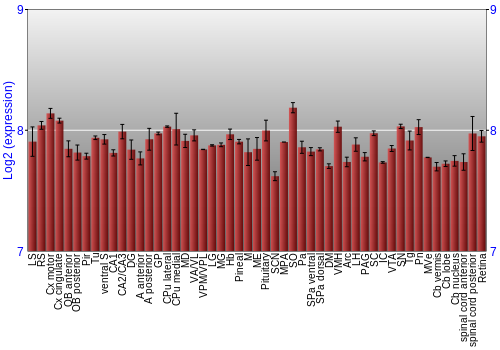 Expression graph